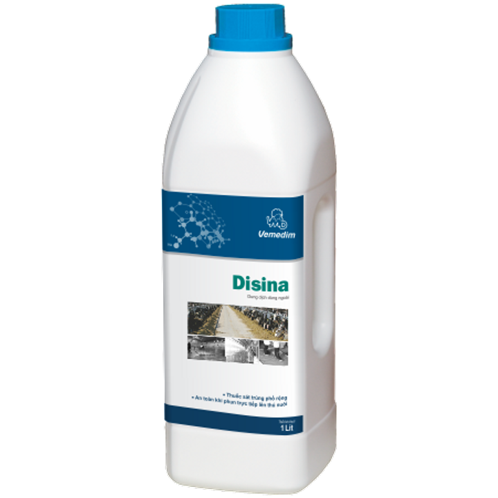 disina