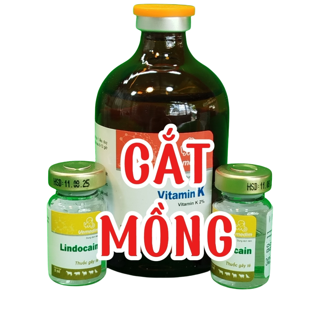 ce737742-0cf6-4e46-8c7b-00492c0e7203