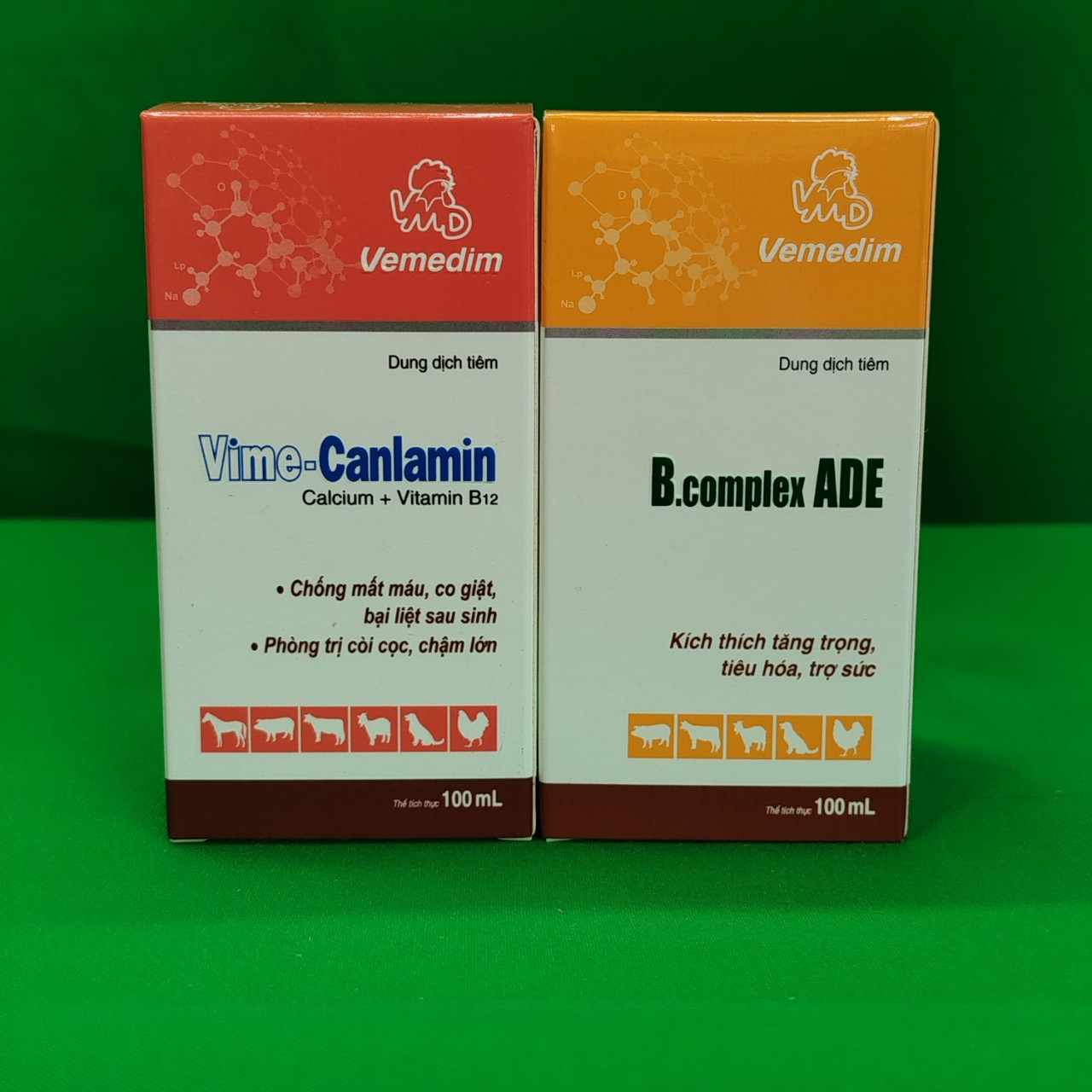 z5586708782433_b52e0f4186f6efd995be02245baef182